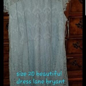 Lane Bryant Dress